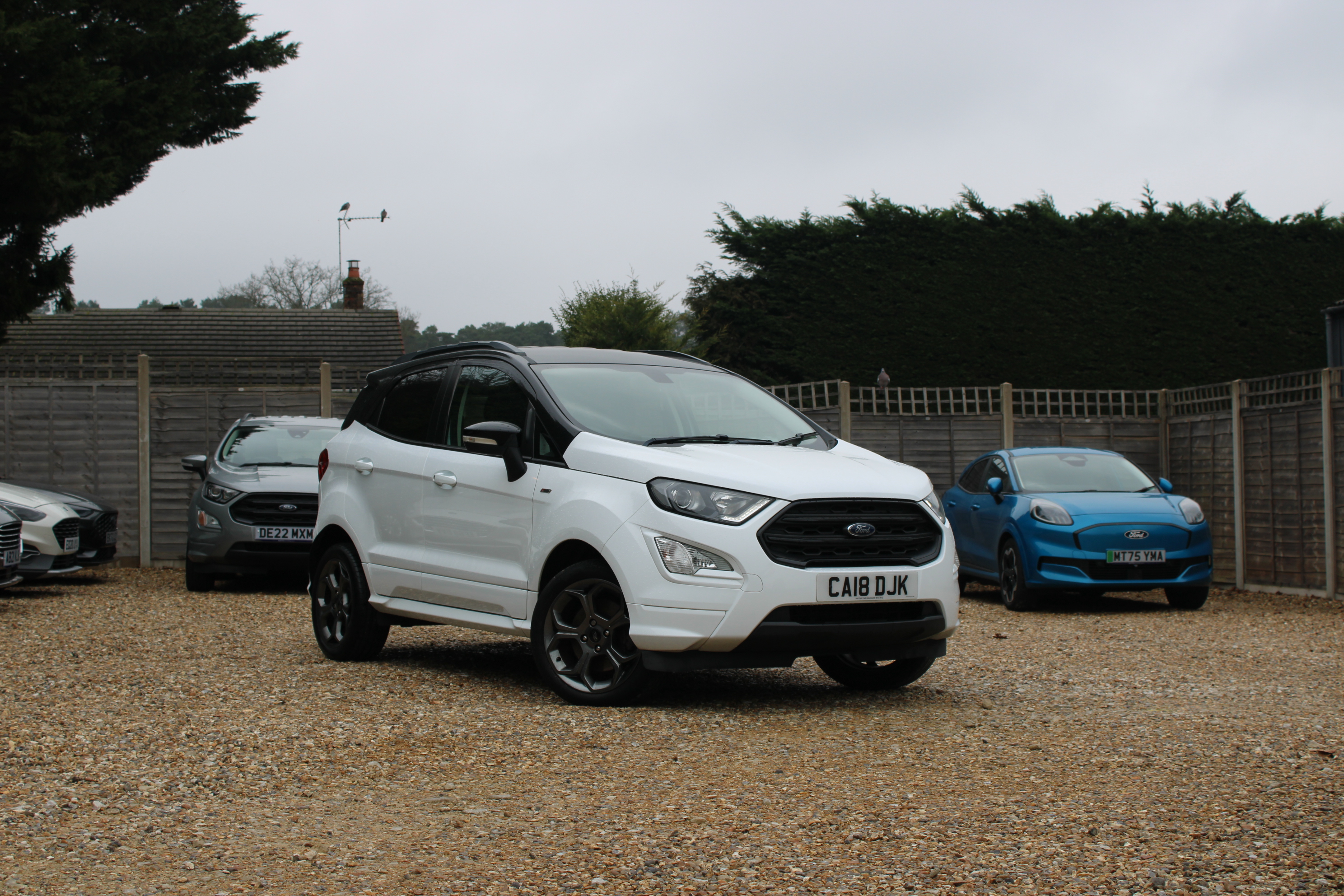 Before Processing Example 1