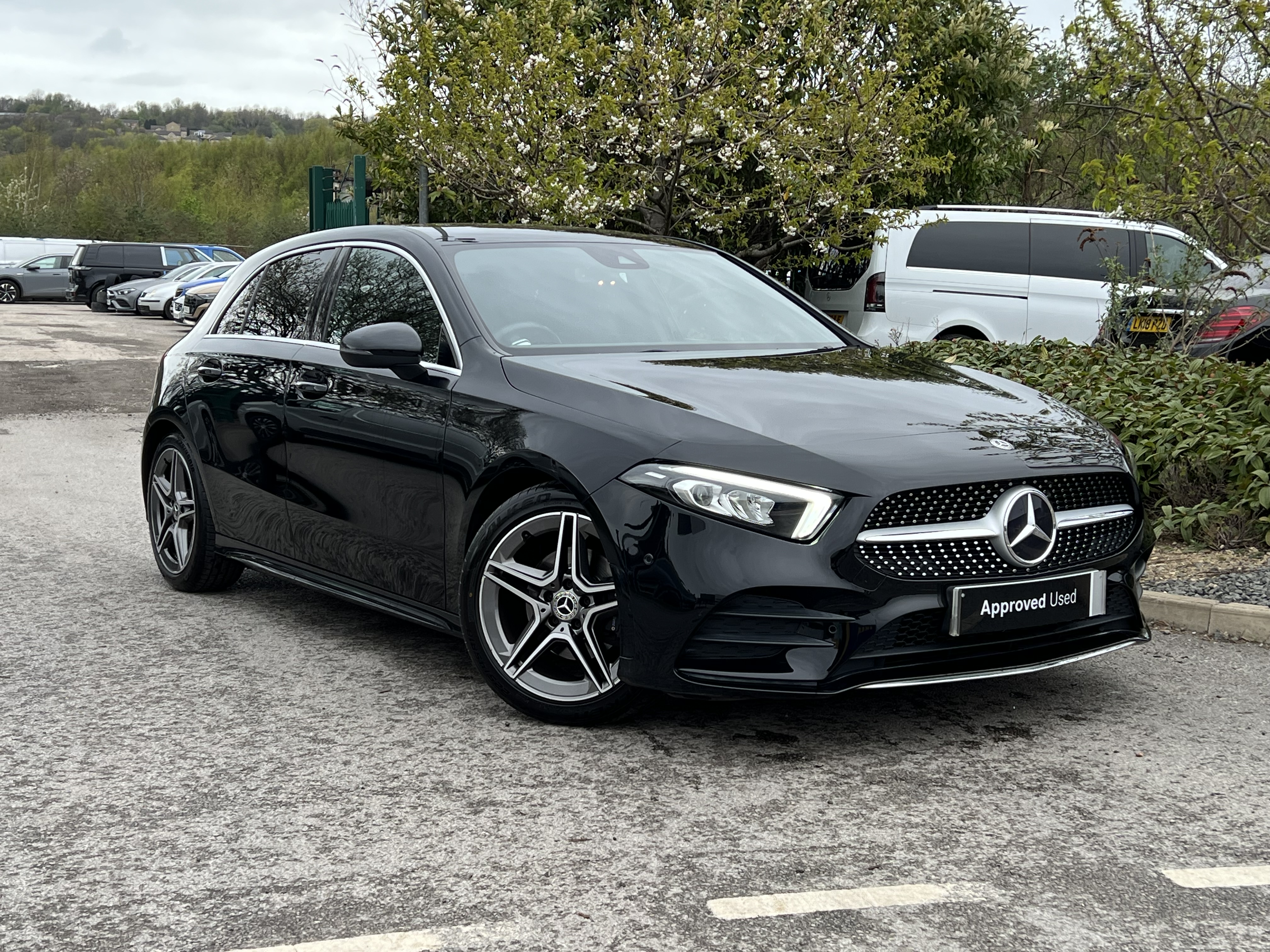 Before Processing Example 2