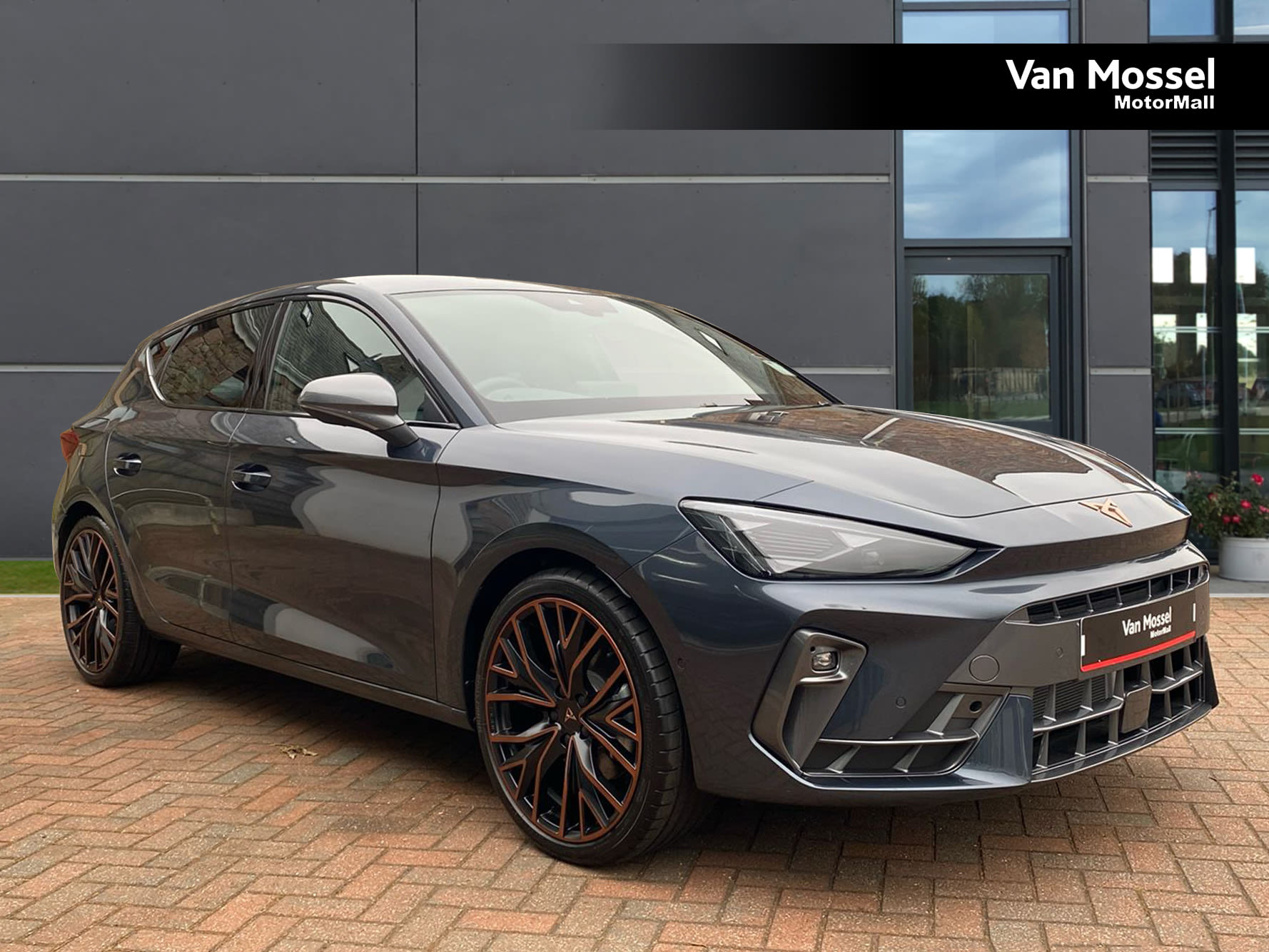 Before Processing Example 1